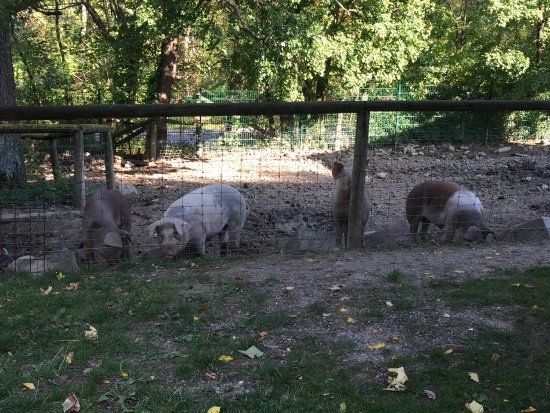 Landgut Wien Cobenzl